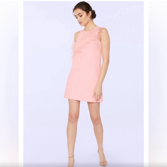 Likely Melody Ostrich feather mini dress size 6 - Picture 3 of 7